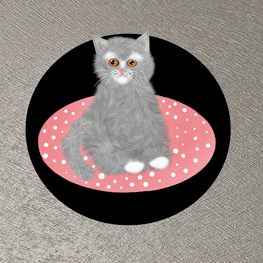 Comfy cat Digital Art by Elaine Hayward