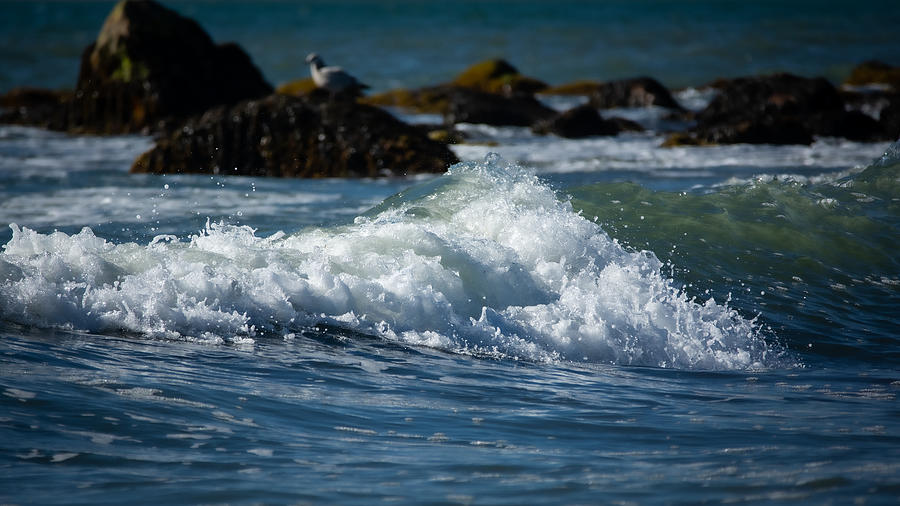 Comfy Wave Watching Photograph by Linda Bonaccorsi