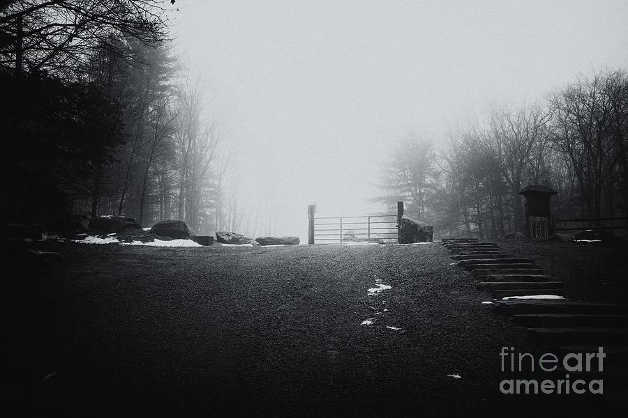 Black And White Photograph - Coming Back in the Fog Poconos Pennsylvania by Renata Natale