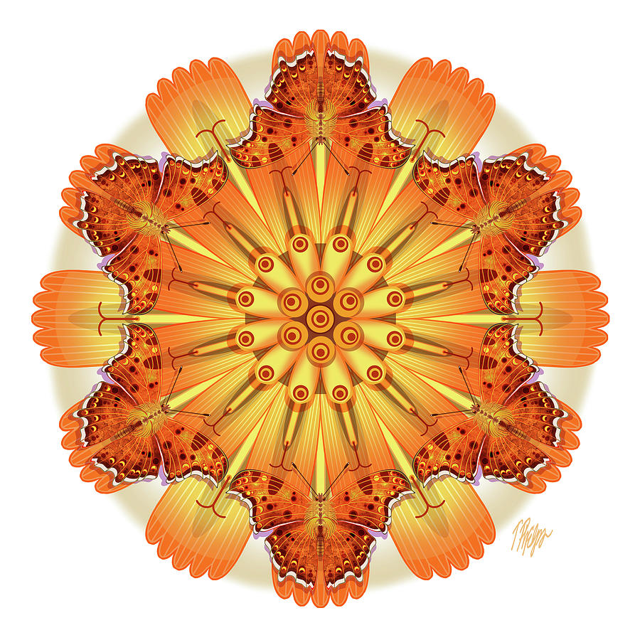 Comma Butterfly Hawkweed #1 Mandala Digital Art by Tim Phelps