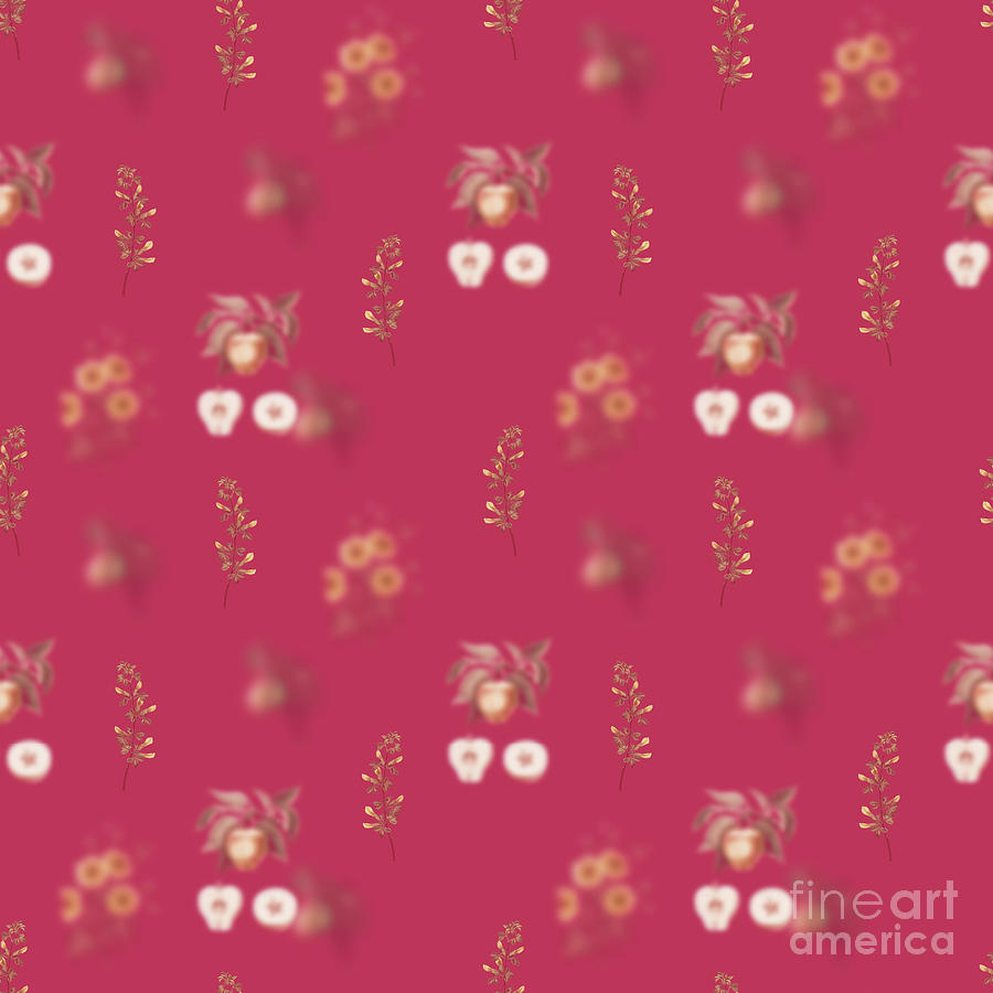 Vintage Mixed Media - Common Cytisus Botanical Seamless Pattern in Viva Magenta n.0906 by Holy Rock Design