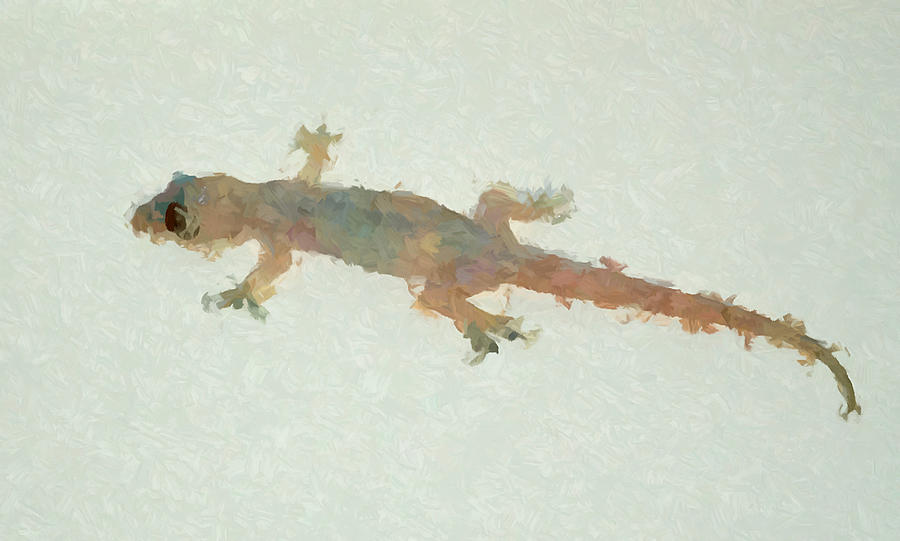 Common House Gecko Painting by Chris Butler