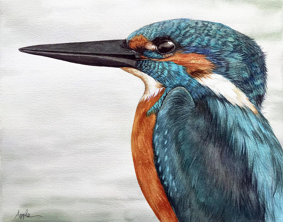 Common Kingfisher - original watercolor Painting by Linda Apple