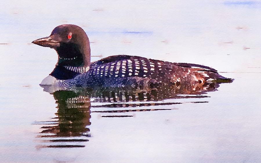 Common Loon Watercolor Painting by Susan Rydberg