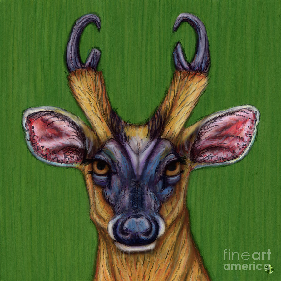 Common Muntjac Painting by Amy E Fraser