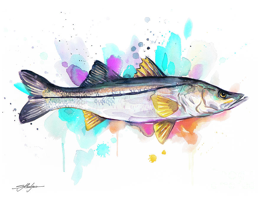 Common Snook Painting By Slavi Aladjova Pixels