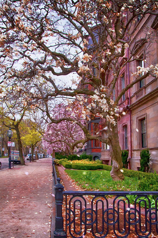 Commonwealth Ave in Spring - Back Bay Boston Photograph by Joann Vitali