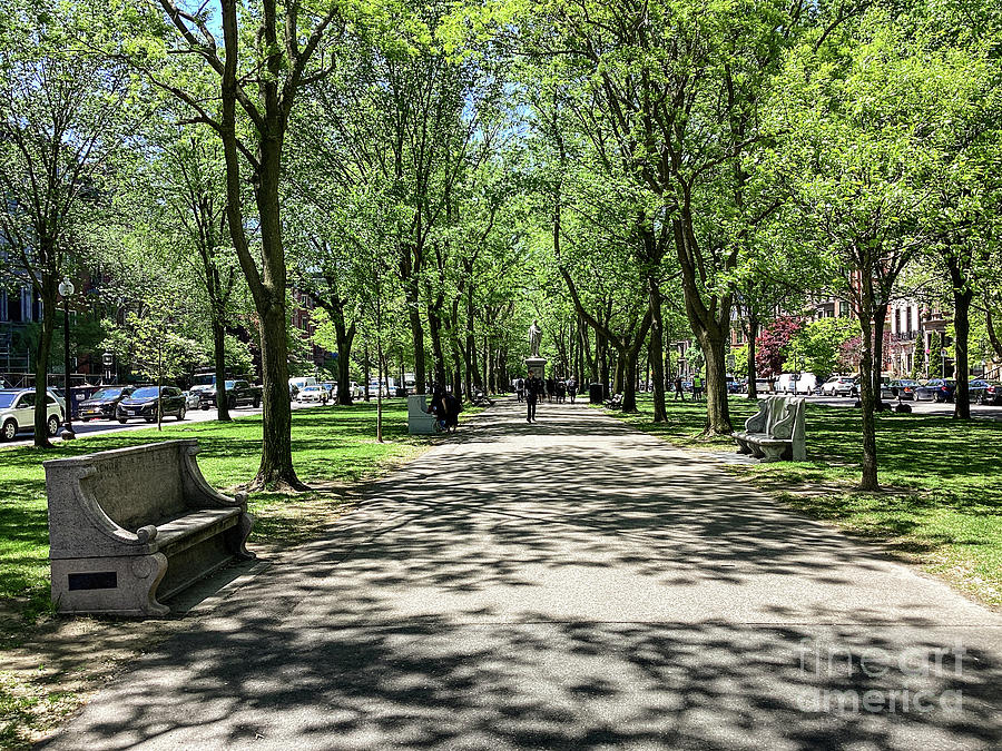 Commonwealth Avenue Mall on Commonwealth Avenue in Boston, MA ...