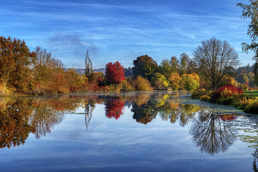Commonwealth Pond Photograph by Loyd Towe Photography