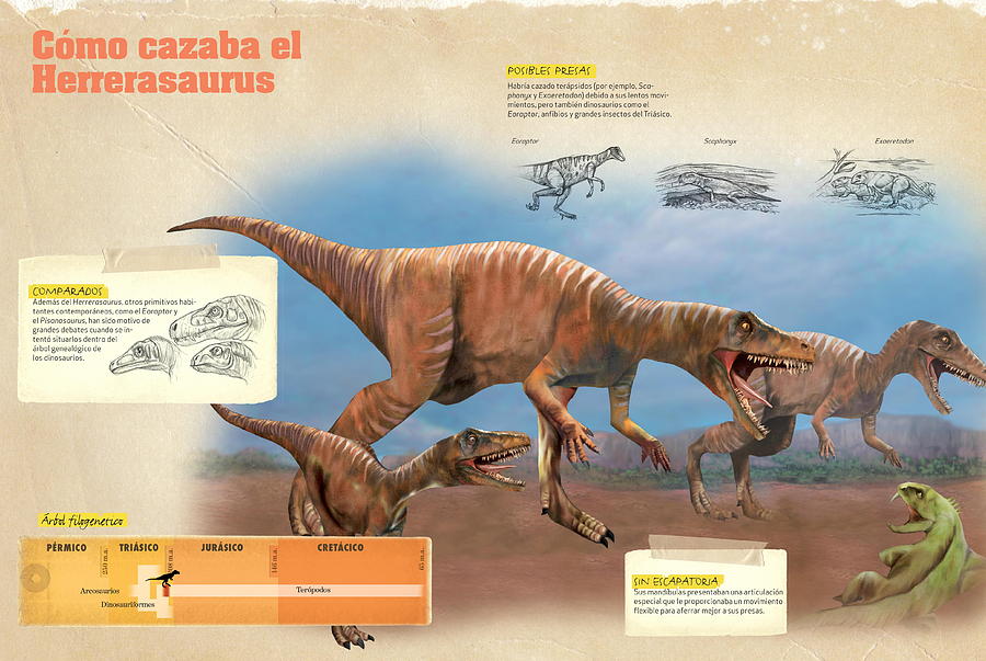 Como cazaba el Herrerasaurus Digital Art by Album