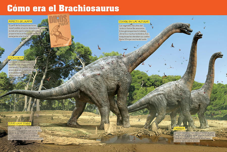 Como era el Brachiosaurus Digital Art by Album