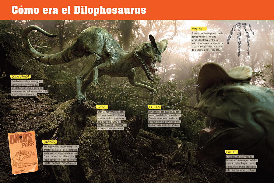 Como era el Dilophosaurus Digital Art by Album