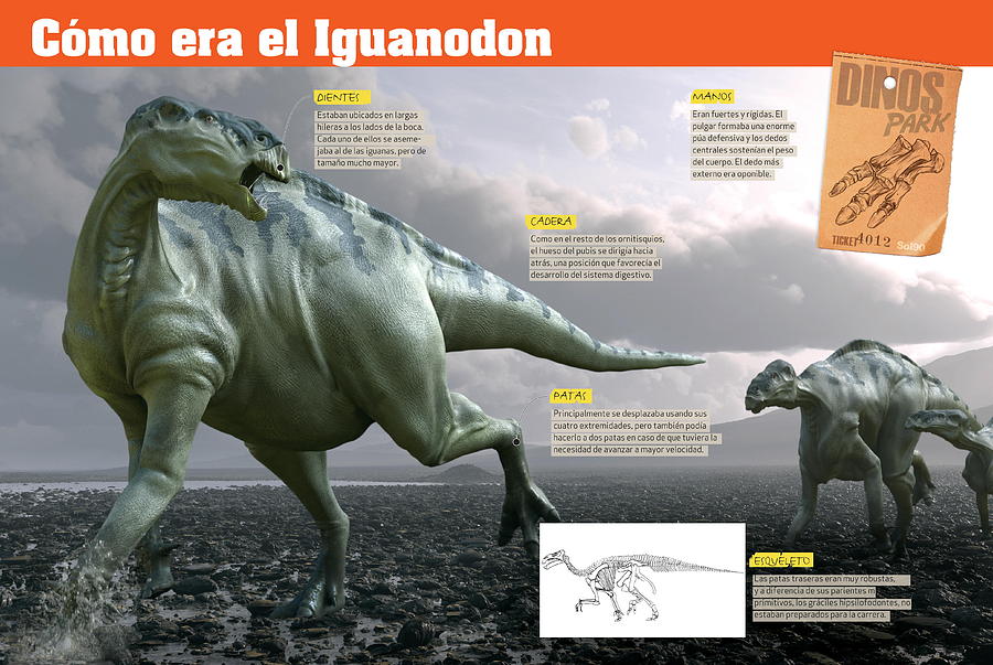 Como era el Iguanodon Digital Art by Album
