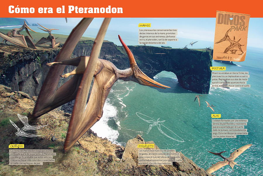 Como era el Pteranodon Digital Art by Album