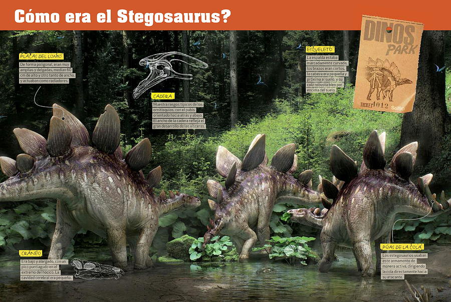 Como era el Stegosaurus Digital Art by Album