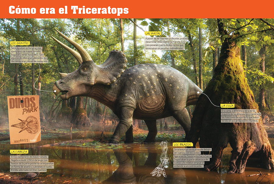 Como era el Triceratops Digital Art by Album