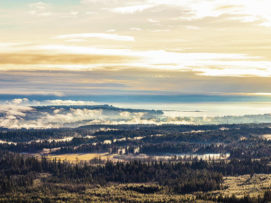 Comox Valley Morning Mist Photograph by Claude Dalley