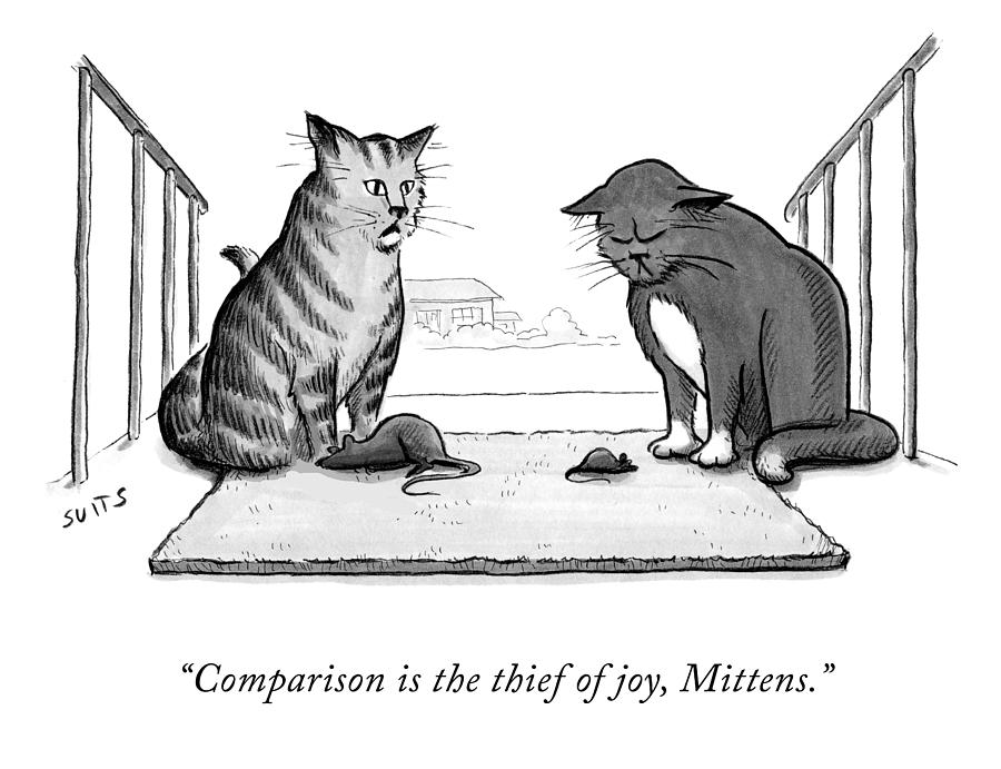Cat Drawing - Comparison is the Thief of Joy by Julia Suits