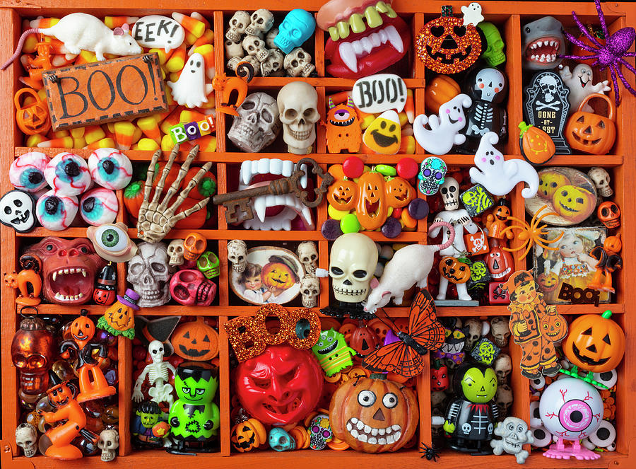 Halloween Photograph - Compartments Full Of Halloween by Garry Gay