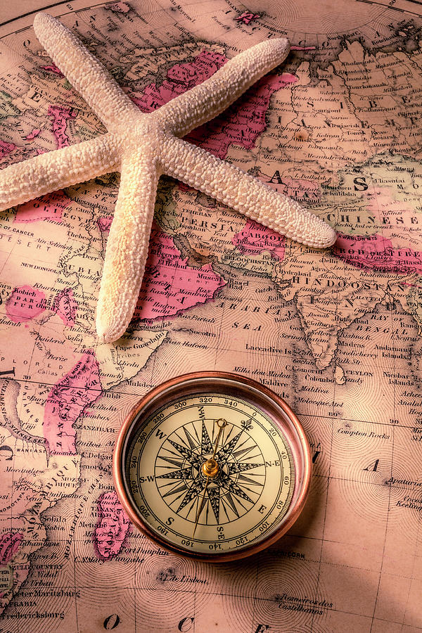 Compass And White Starfish Photograph by Garry Gay