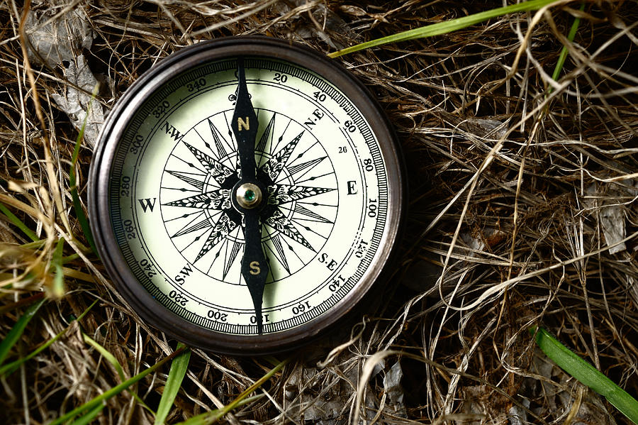 Compass on forest ground Photograph by Brightstars