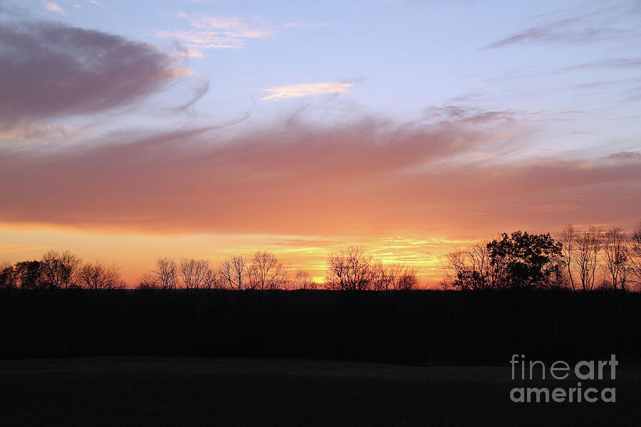 Complementary Nature Colors Photograph by Linda Goodman - Fine Art America