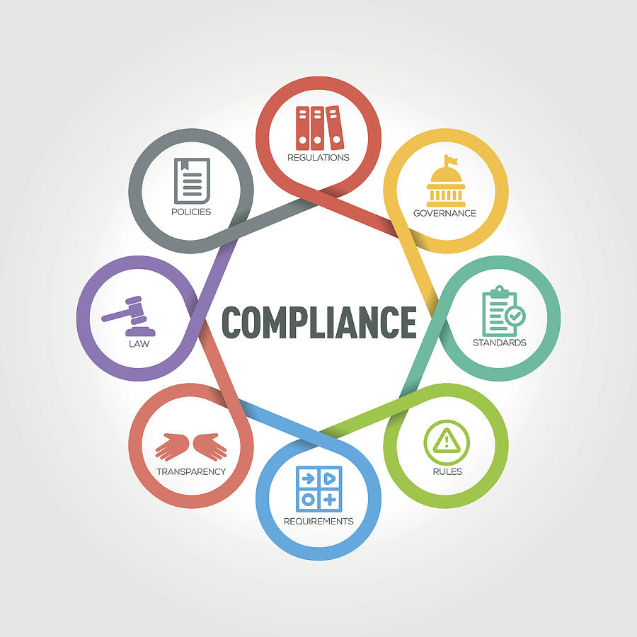 Compliance infographic with 8 steps, parts, options Drawing by Enis Aksoy