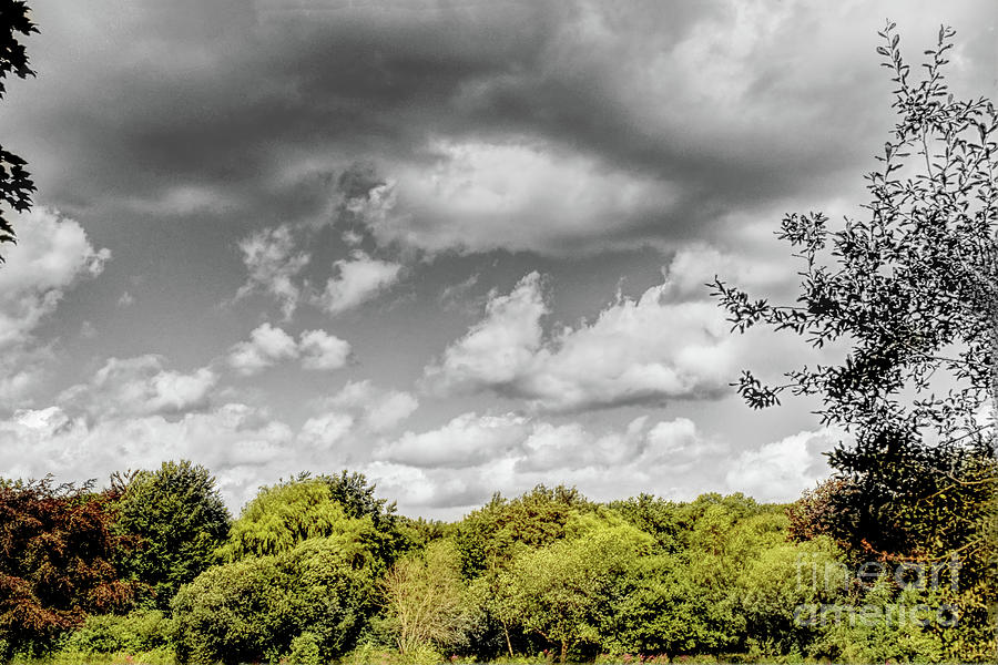 Composite clouds over Alkington Woods, Manchester, UK Photograph by Pics By Tony
