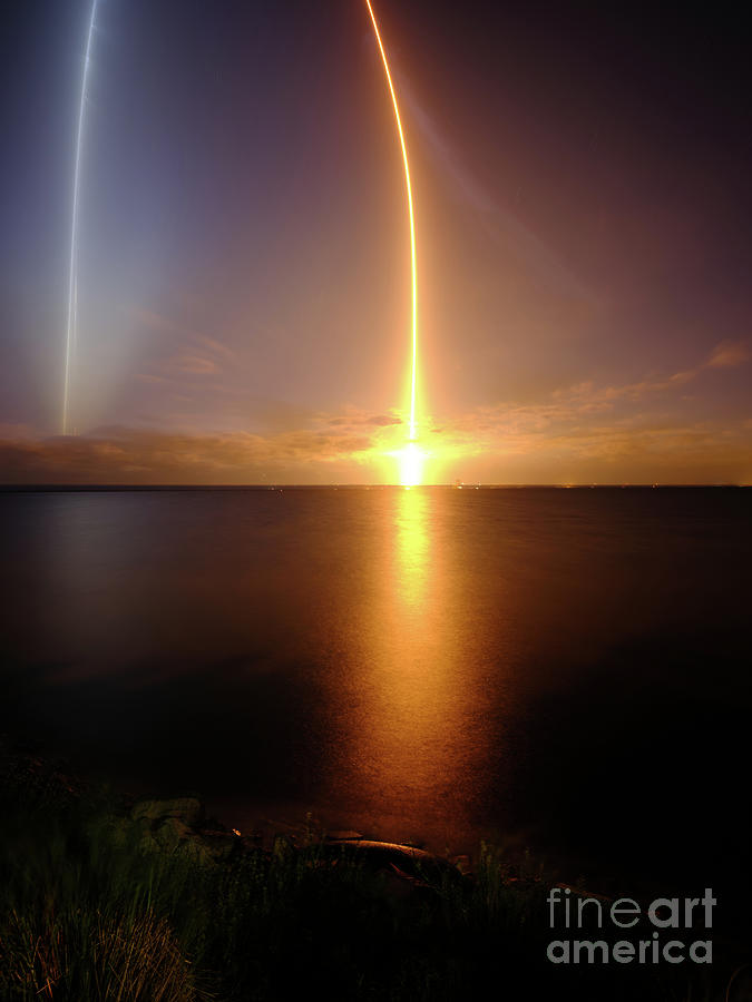 Cape Canaveral Photograph - Too much off the top                                                          by Tracy Knauer