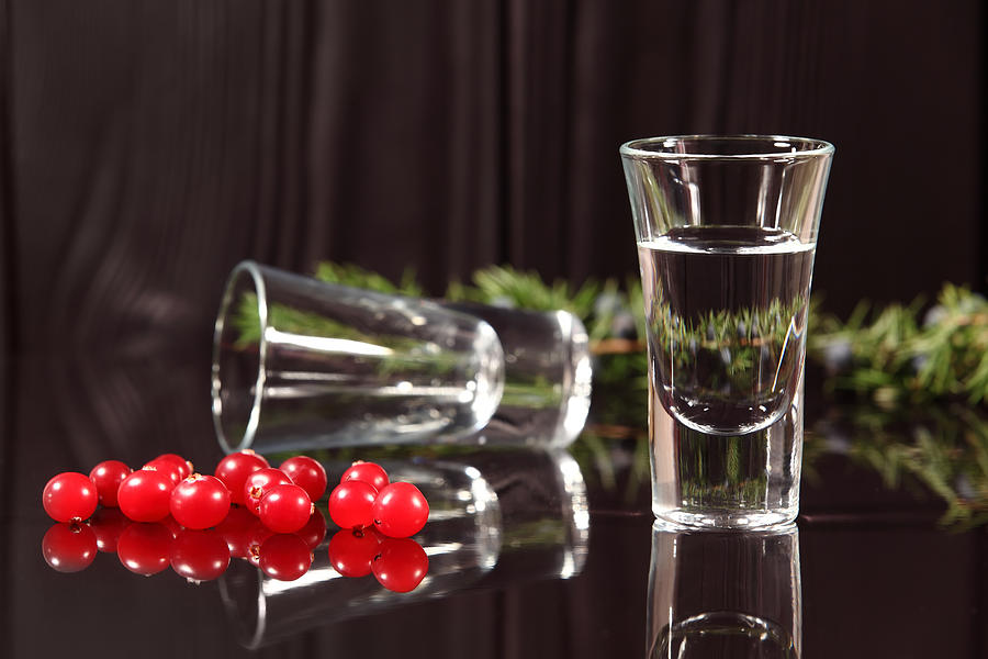 Composition of two glasses with alcohol and red berries cranberries Photograph by VadymShum