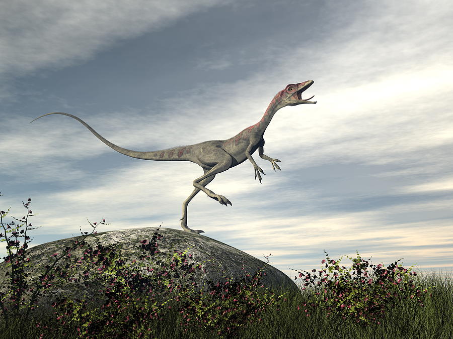 Compsognathus Dinosaur Run Pose 3D, Incl. big & compsognathus