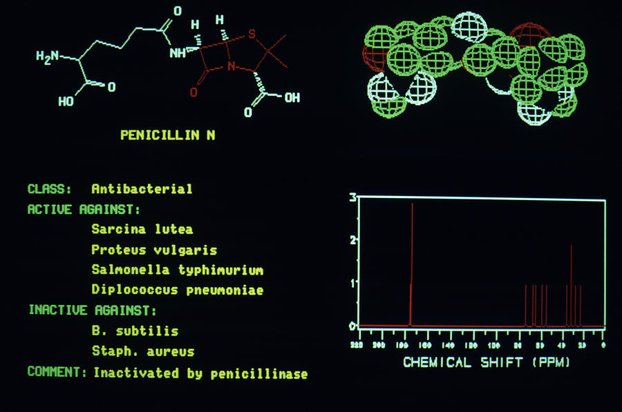 Computer screen image of penicillin molecule Photograph by Kim Steele