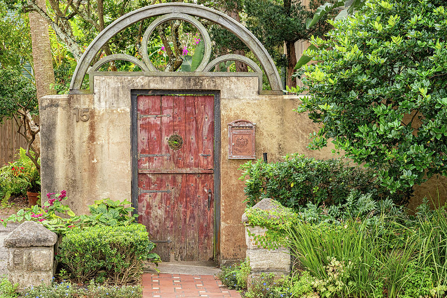 Comtesse de Montjoye Garden Gate, St. Augustine, Florida Photograph by Dawna Moore Photography