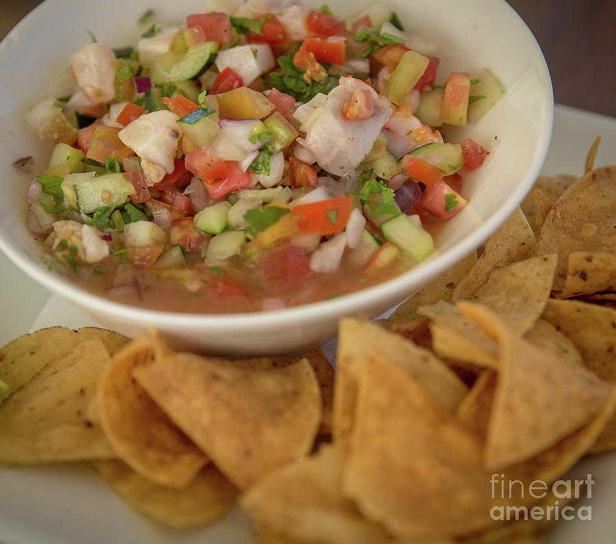 Conch Ceviche with chips Photograph by Lisa Top Fine Art America