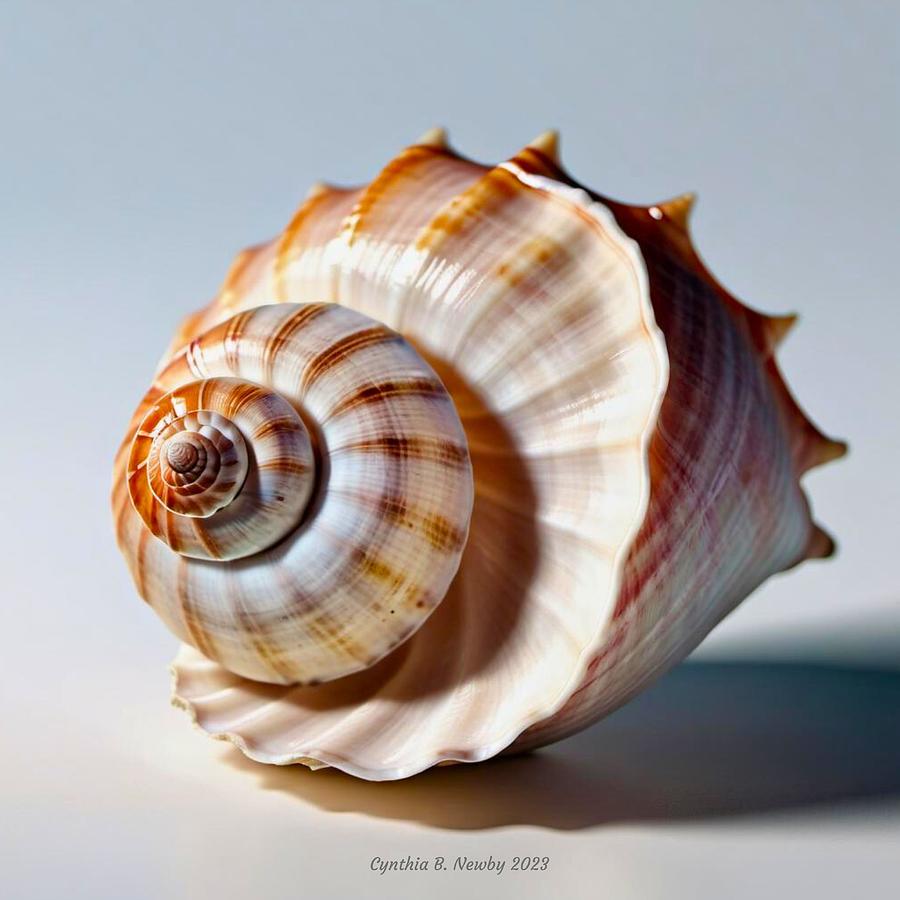 Conch Seashell 20231225 Digital Art by Cindys Creative Corner