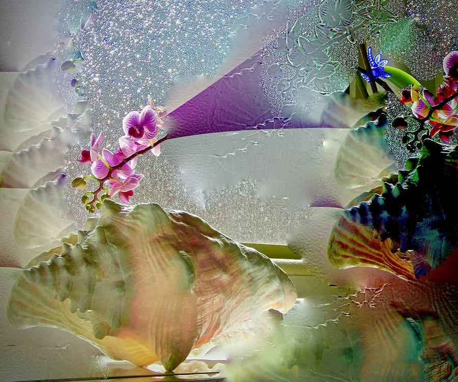 Conch Shell and Orchid Mirage Photograph by Phyllis Kaltenbach