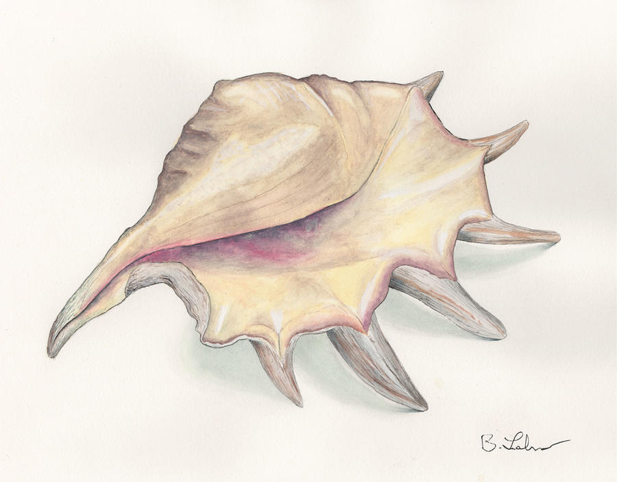 Conch Shell Painting by Bob Labno