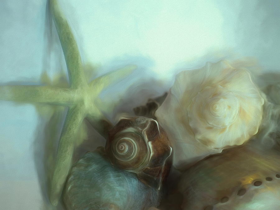 Conches Underwater 3 Mixed Media