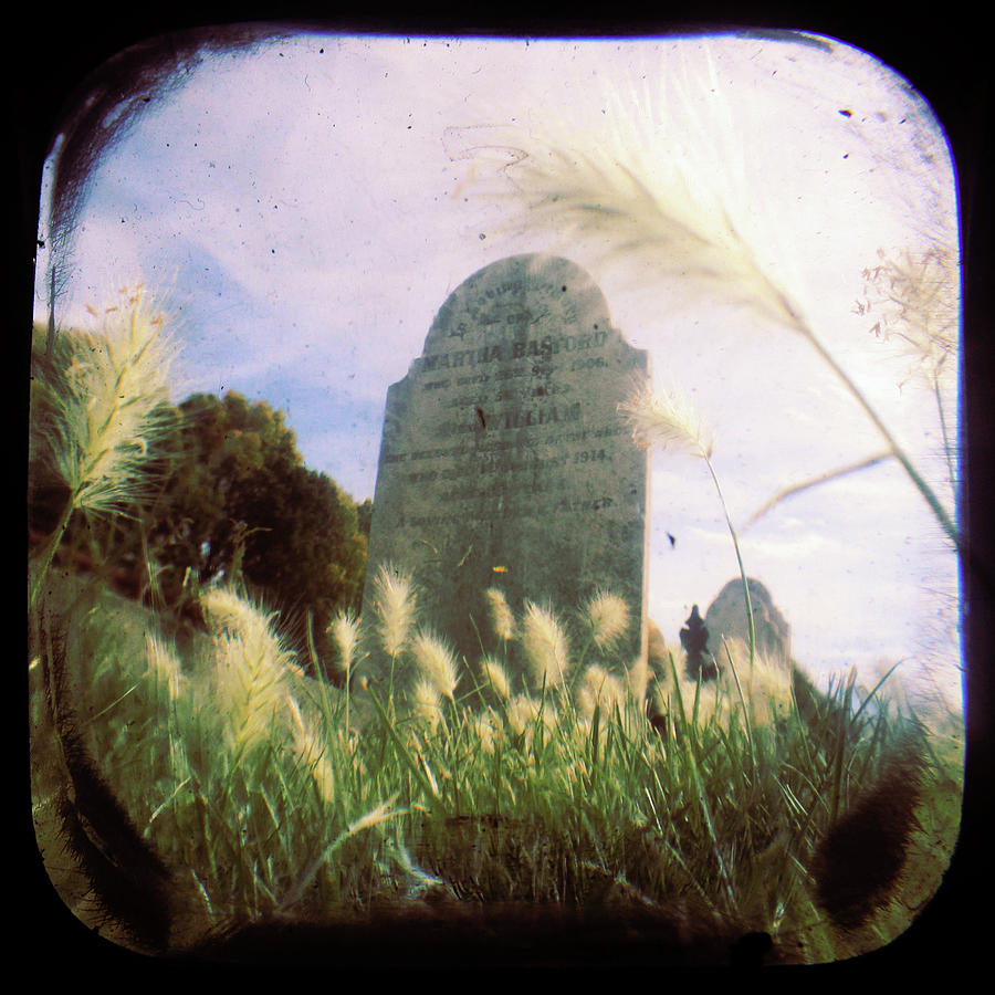Cemetery Photograph - Concilation by Andrew Paranavitana