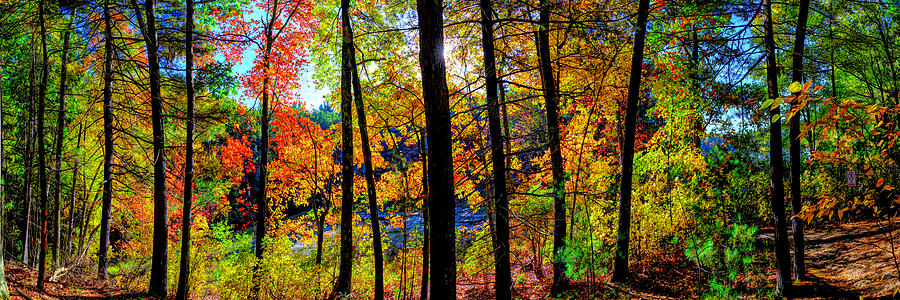 Concord MA Walden Pond Fall Foliage Concord MA Photograph by OLena Art by Lena Owens - Vibrant DESIGN