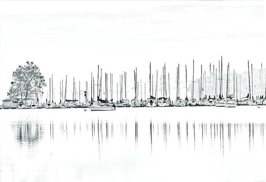 Concord Yacht Club Photograph by Douglas Stucky