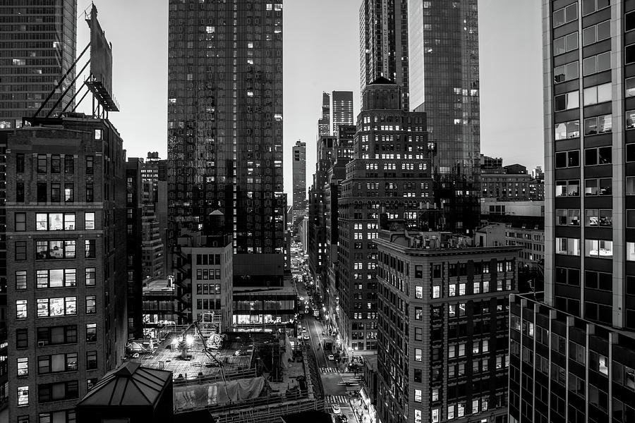 Concrete Jungle Photograph by Sarah Shiffler | Fine Art America