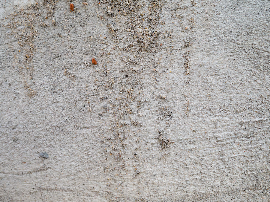 Concrete Wall Photograph by Nannyfoto