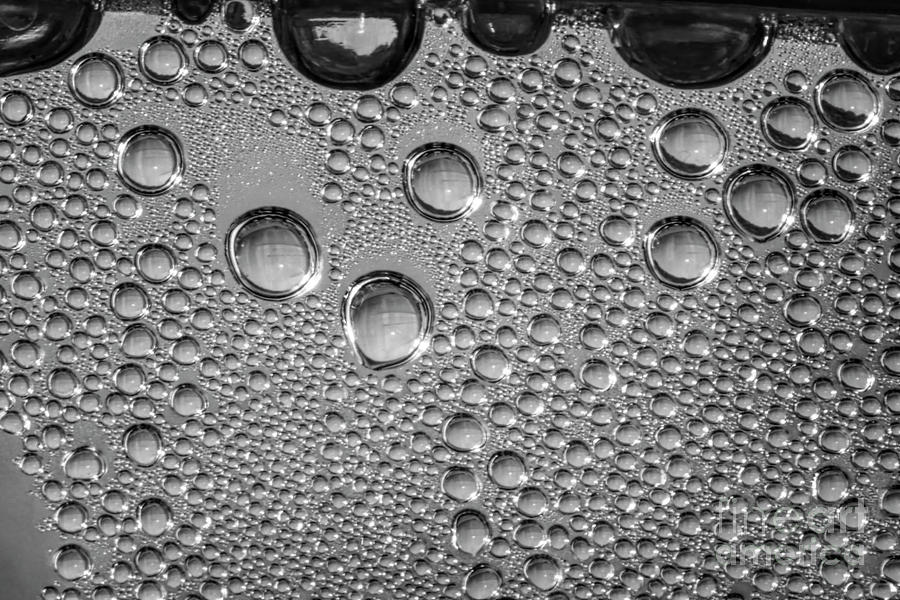 Condensation Macro Photograph by Elisabeth Lucas - Fine Art America