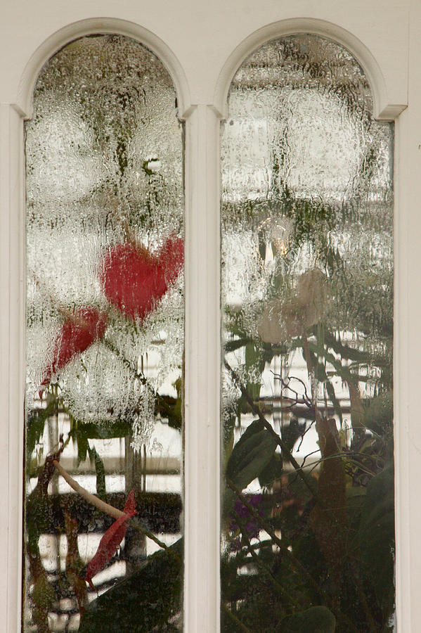 Condensation on the window panes Photograph by Loridambrosio