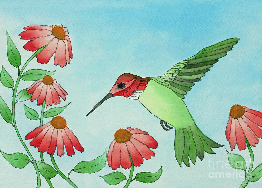 Cone Flower Hummingbird Painting by Norma Appleton