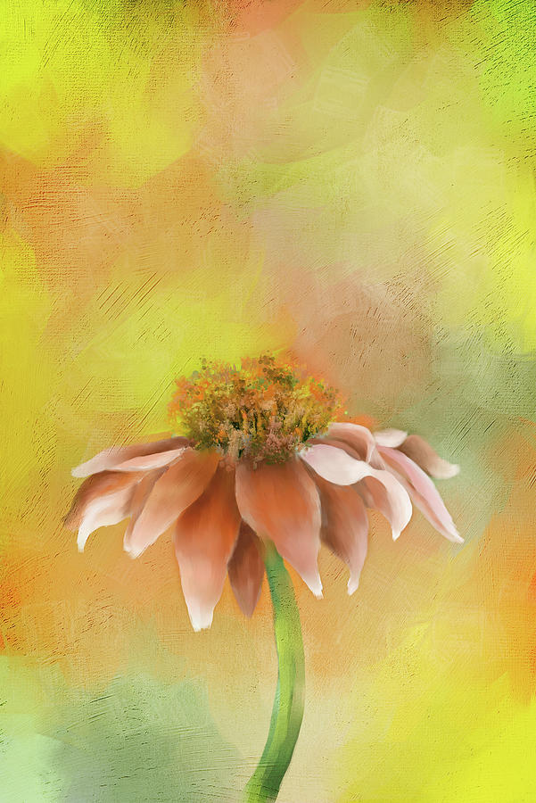 Cone Flower in the Pink Photograph by Mary Timman
