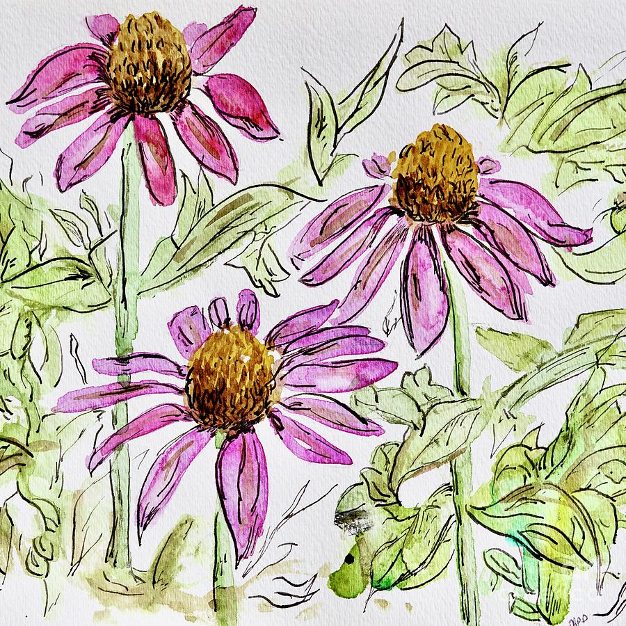 Cone Flower in Watercolor Painting by Patty Donoghue
