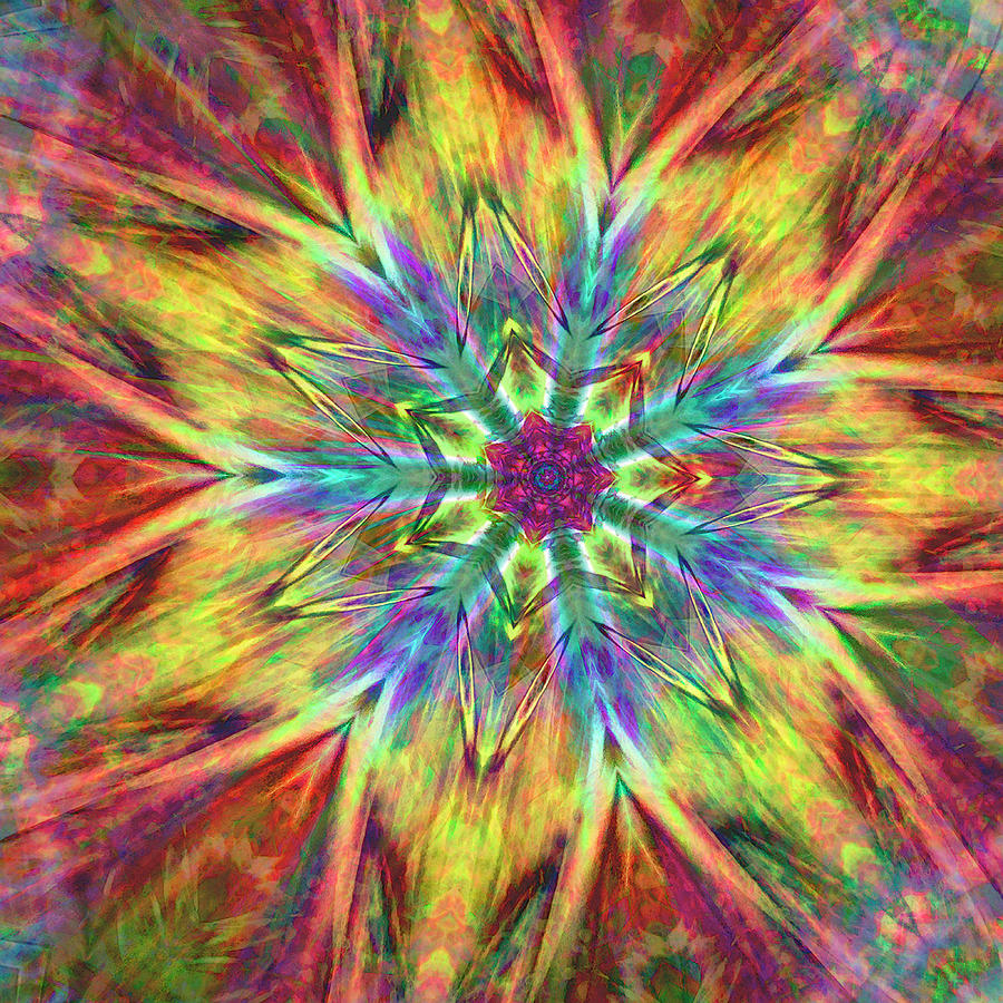 Cone Flower Mandala Digital Art by Dave Turner
