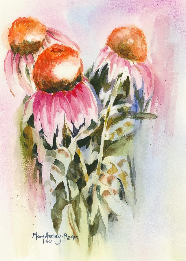 Cone Flowers Painting by Mary Haley-Rocks